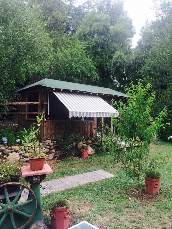 Cabanas Rahue Vilches Ngoại thất bức ảnh